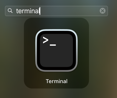 Type terminal
