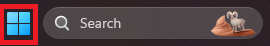 Windows Start Icon