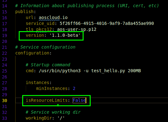 Service config with version